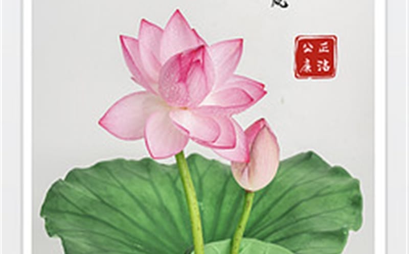 �´������������������������գ�