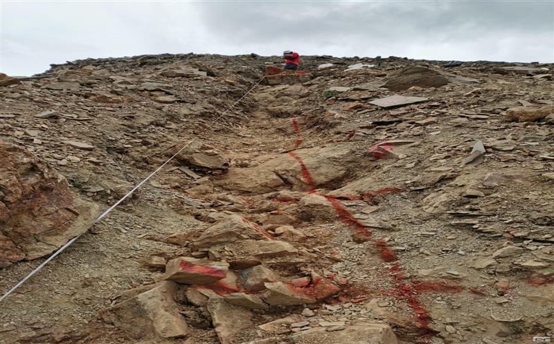 �����Ļ��ĵ����ҿ�Ʒ�ơ����ǵؿ�Ժ���������������������Ӳ�������Ŀ