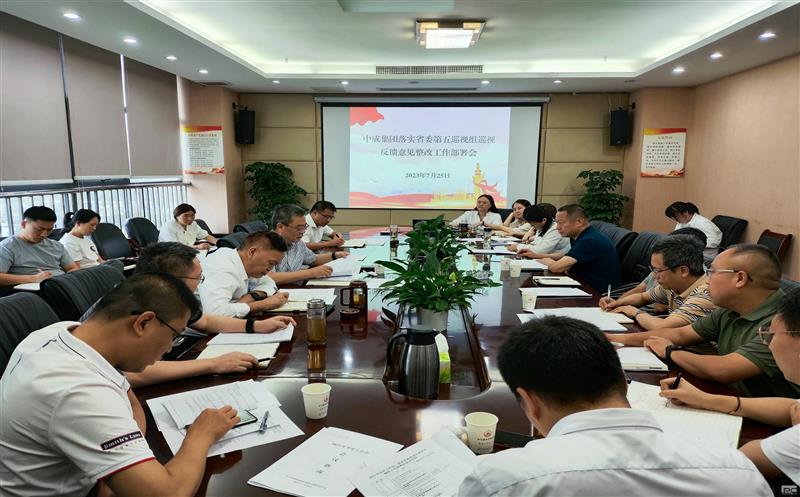 �гɼ����ٿ���ʵʡίѲ�ӷ�������������鰲�Ż�