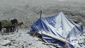 ���ҹ��ʡ�(�й���)���¹ٷ���վ