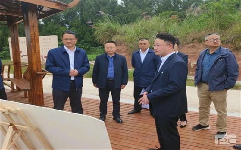 ��˾�򵼸�����Ƭ�����п���